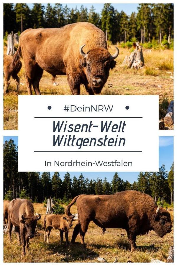 Ferienwohnung Am Denkmal 巴特贝勒堡 外观 照片